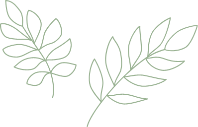 植物のイラスト