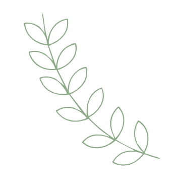 植物のイラスト