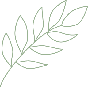 植物のイラスト